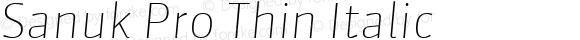 Sanuk Pro Thin Italic