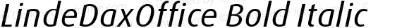 LindeDaxOffice Bold Italic