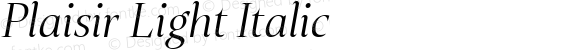 Plaisir Light Italic