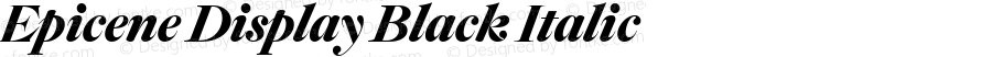 Epicene Display Black Italic