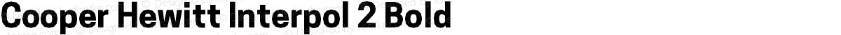 Cooper Hewitt Interpol 2 Bold