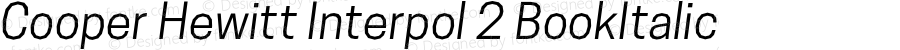 Cooper Hewitt Interpol 2 BookItalic