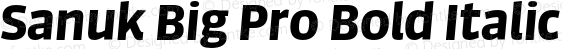 Sanuk Big Pro Bold Italic