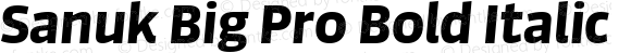 Sanuk Big Pro Bold Italic