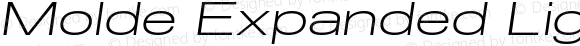 Molde Expanded Light Italic