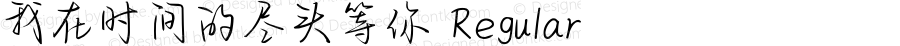我在时间的尽头等你 Regular Version 1.00