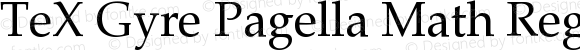 TeX Gyre Pagella Math Regular