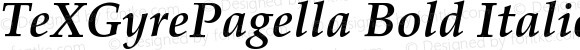 TeXGyrePagella Bold Italic