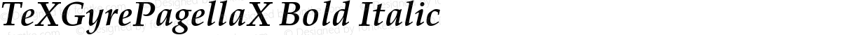 TeXGyrePagellaX Bold Italic
