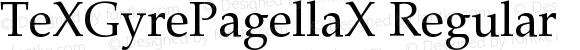 TeXGyrePagellaX-Regular