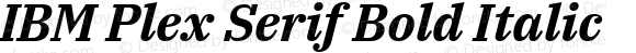 IBM Plex Serif Bold Italic