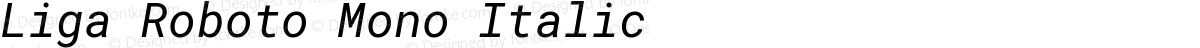 Liga Roboto Mono Italic