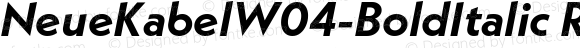 Neue Kabel W04 Bold Italic