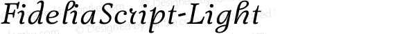 FideliaScript-Light ☞