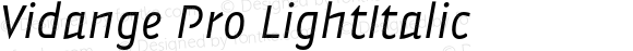 Vidange Pro LightItalic