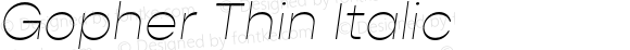 Gopher Thin Italic