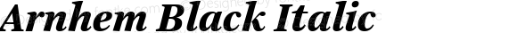 Arnhem Black Italic