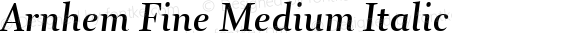 Arnhem Fine Medium Italic