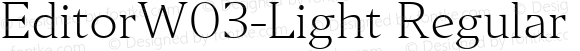 EditorW03-Light Regular