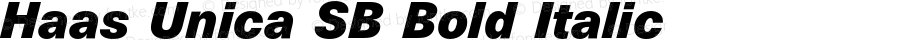 Haas Unica SB Bold Italic Version 001.001 | T1 to OTF