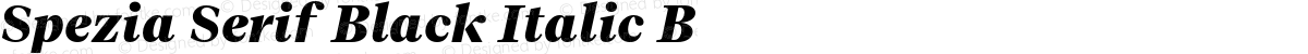 Spezia Serif Black Italic B