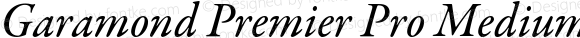 Garamond Premier Pro Medium Italic