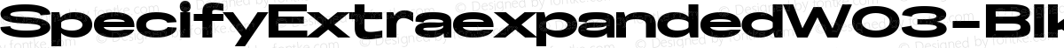 SpecifyExtraexpandedW03-Blk Regular