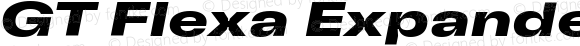 GT Flexa Expanded Bold Italic