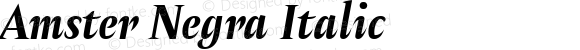 Amster Negra Italic Version 1.000;PS 001.000;hotconv 1.0.70;makeotf.lib2.5.58329