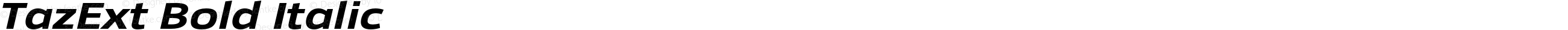 TazExt Bold Italic