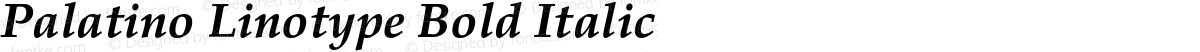 Palatino Linotype Bold Italic