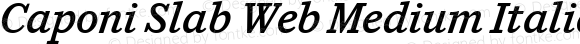 Caponi Slab Web Medium Italic