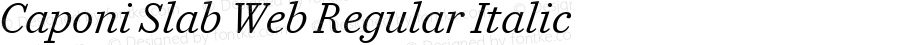 Caponi Slab Web Regular Italic