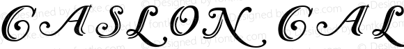 Caslon Calligraphic Initials Regular Version 1.0; 2002; initial release