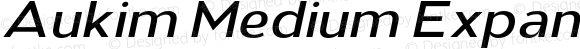 Aukim Medium Expanded Italic