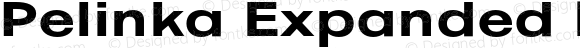 Pelinka Expanded Bold Version 1.000