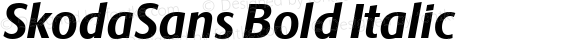 SkodaSans Bold Italic