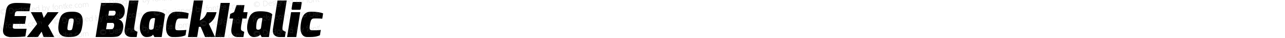 Exo BlackItalic
