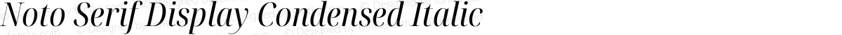 Noto Serif Display Condensed Italic