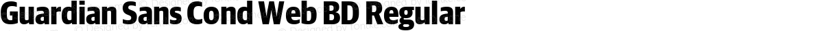 Guardian Sans Cond Web BD Regular