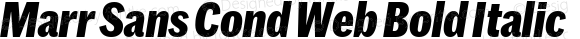 Marr Sans Cond Web Bold Italic
