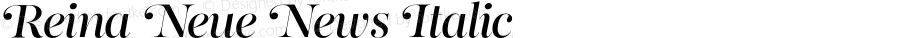 ReinaNeue-NewsItalic