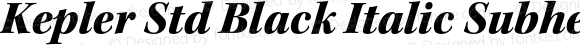 Kepler Std Black Italic Subhead