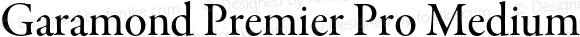 Garamond Premier Pro Medium Subhead