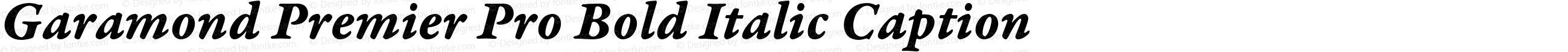 Garamond Premier Pro Bold Italic Caption