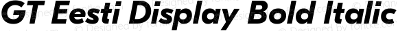 GT Eesti Display Bold Italic