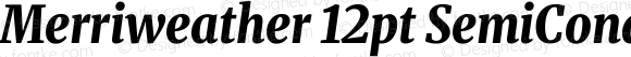 Merriweather 12pt SemiCondensed Black Italic