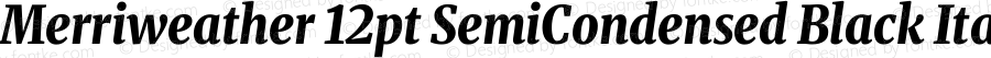 Merriweather 12pt SemiCondensed Black Italic