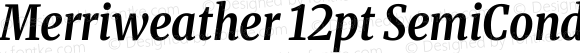 Merriweather 12pt SemiCondensed Bold Italic