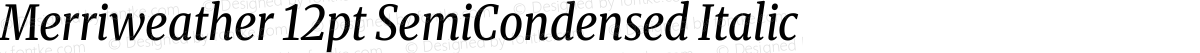 Merriweather 12pt SemiCondensed Italic